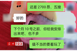 崇信贷款清欠服务